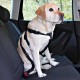 Trixie Köpek Emniyet Kemeri 50-70cm M Trixie Köpek Emniyet Kemeri 50-70cm M