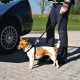 Trixie Köpek Emniyet Kemeri 50-70cm M Trixie Köpek Emniyet Kemeri 50-70cm M