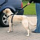 Trixie Köpek Emniyet Kemeri 50-70cm M Trixie Köpek Emniyet Kemeri 50-70cm M