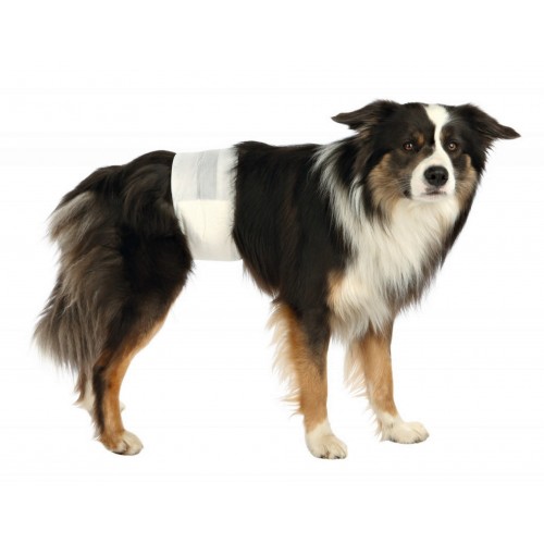 Trixie Erkek Köpek Pedi L-XL 60-80cm 12Adet Trixie Erkek Köpek Pedi L-XL 60-80cm 12Adet