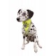 Trixie Köpek Bandanası L-XL 42-60cm