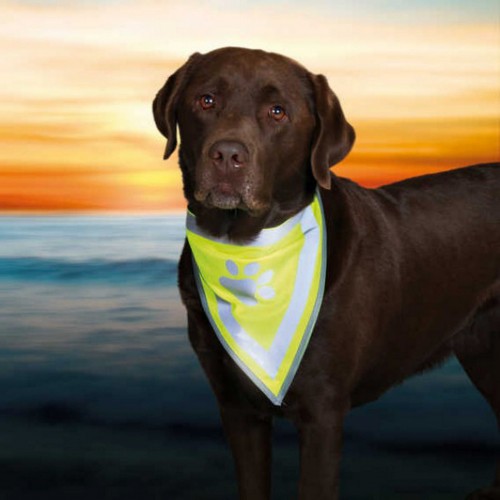 Trixie Köpek Bandanası L-XL 42-60cm Trixie Köpek Bandanası L-XL 42-60cm