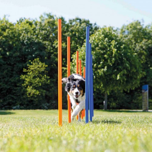Trixie Köpek Agility Eğitim Direkleri Trixie Köpek Agility Eğitim Direkleri