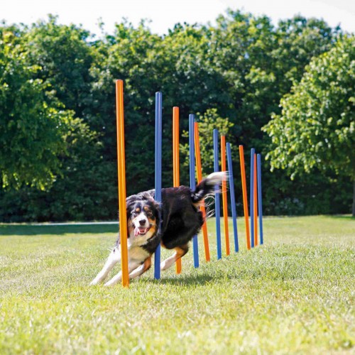 Trixie Köpek Agility Eğitim Direkleri Trixie Köpek Agility Eğitim Direkleri