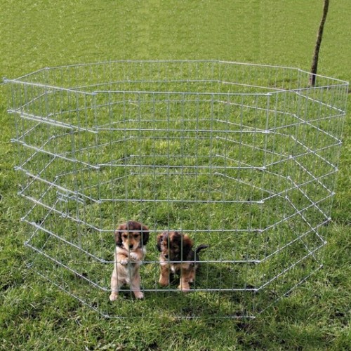 Trixie Yavru ve Küçük Köpek Açık Hava Oyun Alanı Trixie Yavru ve Küçük Köpek Açık Hava Oyun Alanı