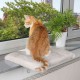 Trixie Kedi Cam Önü Oturma Platformu Trixie Kedi Cam Önü Oturma Platformu