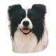 Trixie Köpek Çıkartması Border Collie 1 Adet Trixie Köpek Çıkartması Border Collie 1 Adet