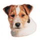Trixie Köpek Çıkartması St-Jack Russel 1 Adet Trixie Köpek Çıkartması St-Jack Russel 1 Adet