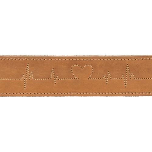 Trixie Köpek Boyun Tasması Kalın Deri 38-47cm 40mm M Kahverengi Trixie Köpek Boyun Tasması Kalın Deri 38-47cm 40mm M Kahverengi