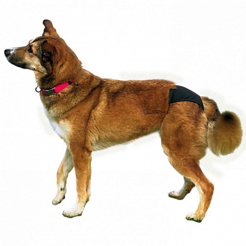 Trixie Hijyenik Köpek Külodu S-M 32-39cm Siyah Trixie Hijyenik Köpek Külodu S-M 32-39cm Siyah