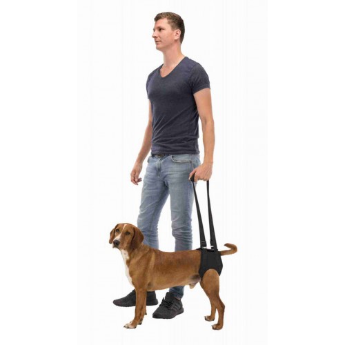 Trixie Köpek Yürütme Yardımcısı 55-65cm M Siyah Trixie Köpek Yürütme Yardımcısı 55-65cm M Siyah