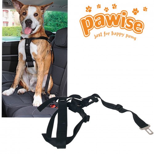 Pawise Emniyet Kemerli Köpek Tasması S Pawise Emniyet Kemerli Köpek Tasması S