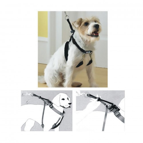 Pawise Dog Training XS (34 Pawise Dog Training XS (34