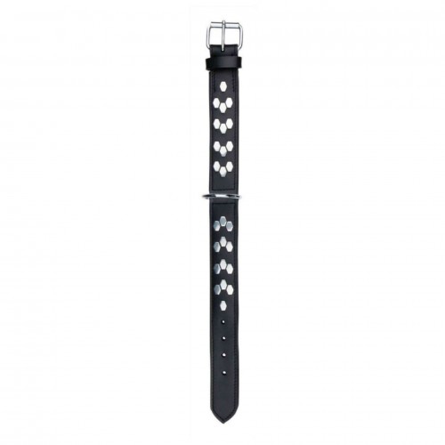 Trixie Köpek Boyun Tasması Gerçek Deri 65-75cm 40mm XL Siyah Trixie Köpek Boyun Tasması Gerçek Deri 65-75cm 40mm XL Siyah