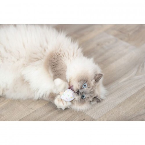 Trixie Kedi Oyuncağı, Dondurma ve Kek Şeklinde, Peluş, Kediotlu 7cm Trixie Kedi Oyuncağı, Dondurma ve Kek Şeklinde, Peluş, Kediotlu 7cm