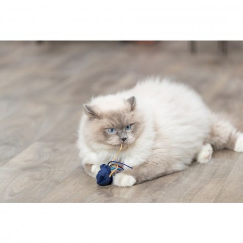 Trixie Kedi Oyuncağı, Deniz Canlıları Şeklinde, Peluş, Kediotlu 5-8cm Trixie Kedi Oyuncağı, Deniz Canlıları Şeklinde, Peluş, Kediotlu 5-8cm