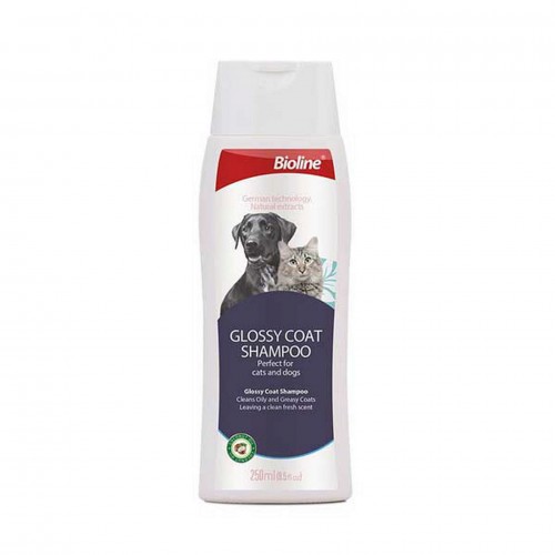 Bioline Yağlı Tüylü Kedi ve Köpek Şampuanı 250 Ml Bioline Yağlı Tüylü Kedi ve Köpek Şampuanı 250 Ml