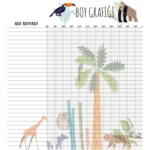 Statik Kağıt Boy Grafiği 85 CM X 95 CM Statik Kağıt Boy Grafiği 85 CM X 95 CM