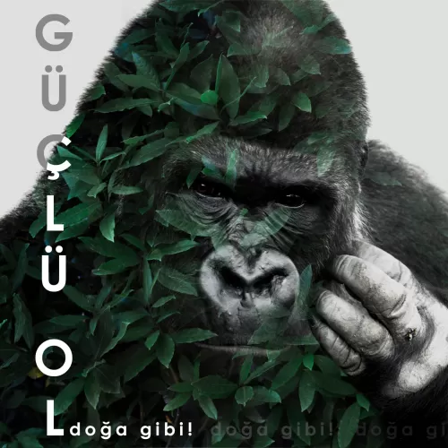 Statik Tutunma Özellikli Tablo - Poster Motivasyon (Model- 5) 145 CM X 145 CM Statik Tutunma Özellikli Tablo - Poster Motivasyon (Model- 5) 145 CM X 145 CM