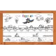 Boyama Kağıdı Dodo Boyama 10'lu Set 25 CM X 40 CM Boyama Kağıdı Dodo Boyama 10'lu Set 25 CM X 40 CM