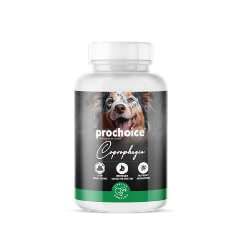 Prochoice Köpekler İçin Dışkı Yeme Önleyici Vitamin 60 Tablet X 12 ADET Prochoice Köpekler İçin Dışkı Yeme Önleyici Vitamin 60 Tablet X 12 ADET